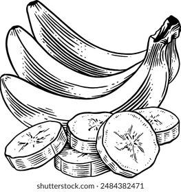 Handgezeichnete Bananenskizze Illustration