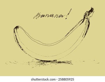 hand drawn banana vector illustration