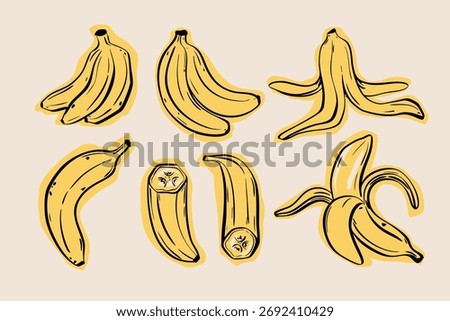 Hand drawn banana vector set. Doodle style yellow fruit with peeled bananas and slices. Perfect for healthy food design, packaging, and kitchen decor.