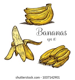 Hand drawn bananas