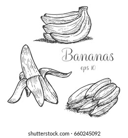 Hand drawn bananas