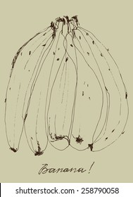 hand drawn bananas illustration