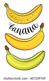 Hand drawn bananas set, isolated on white background. Decorative doodle vector illustration