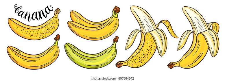 Hand drawn bananas set, isolated on white background. Decorative doodle vector illustration