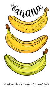 Hand drawn bananas set, isolated on white background. Decorative doodle vector illustration
