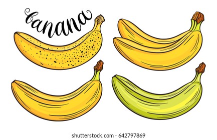 Hand drawn bananas set isolated on white background, template for your design. Fresh fruits collection. Decorative doodle vector illustration.