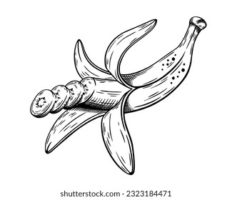 Hand drawn bananas sketch isolated on white background. Vector illustration