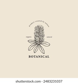 Hand drawn banksia flower logo