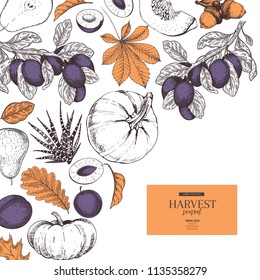 Hand Drawn Banner Of Autumn Harvest Fruits, Vegetables. Vector Vintage Engraved Style. Pumpkin, Plum, Oak, Mapple, Chestnut Leaves. Fall Holiday Flyer. Thanksgiving, Farm Festival, Food Market.