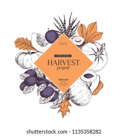 Hand Drawn Banner Of Autumn Harvest Fruits, Vegetables. Vector Vintage Engraved Style. Pumpkin, Plum, Oak, Mapple, Chestnut Leaves. Fall Holiday Flyer. Thanksgiving, Farm Festival, Food Market.