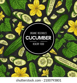 Hand drawn banner with cucumber. Organic plant drawing with cucumbers, slices, halves, pieces, flower, branch and leaves on dark background. Botanical sketch illustration