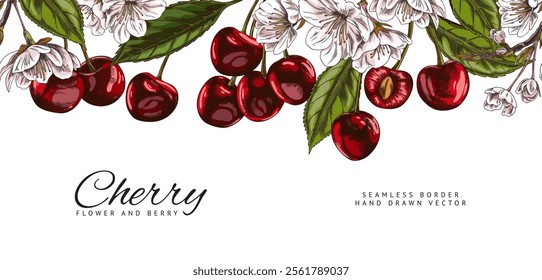 Hand drawn banner design with top border of cherries, flowers and leaves, Vector illustration. Seamless pattern of hand drawn organic elements. Space for text.
