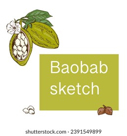 hand drawn baobab background for label, banner