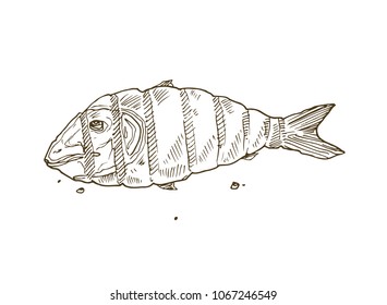 Hand drawn barbecue fish isolated on white background. Grilled dorado sketch.