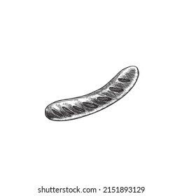 Hand drawn barbecue sausage, monochrome, vector illustration isolated on white background. Food for grill and BBQ, item. Rest at nature, picnic concept