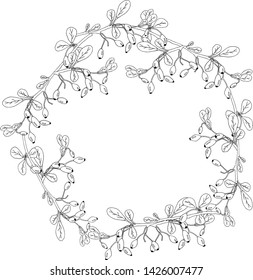 Hand drawn barberry floral template. Decorative frame. Barberry in circle frame illustration. Card, greeting card design. Postcard template.