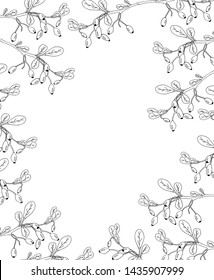 Hand drawn barberry frame. Sketch. Postcard template.