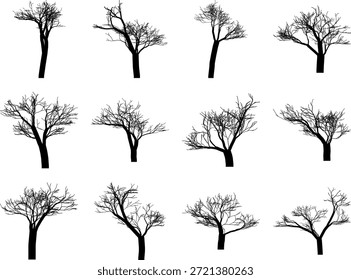 Conjunto de siluetas de árbol desnudo dibujado a mano aislado sobre fondo blanco para diseño de Naturaleza de invierno