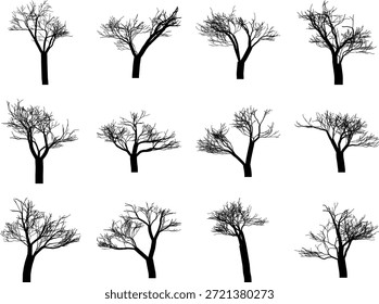Hand Drawn Bare Winter Tree Silhouettes Collection Isolated on White Background