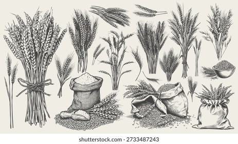 Hand drawn barley and wheat plants with grain bundles, loose seeds, and harvested sacks illustrated in detailed black and white line art. The artwork combines agricultural elements and cereal crops, suitable for packaging, bakery branding, brewing ingredients, farming themes, and natural product design.