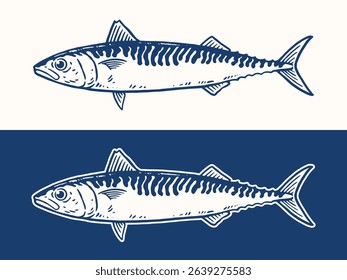 Hand Drawn Barracuda Fish Illustration