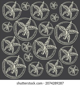 Hand drawn Basil fresh herb leaves plant seamless pattern