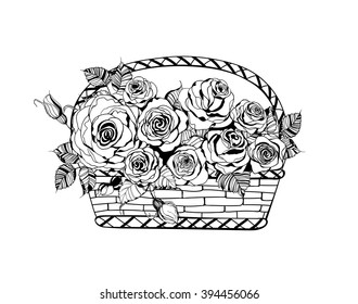 Hand  drawn basket full of roses on white background.
