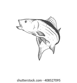 Hand Drawn Bass Fish Jump