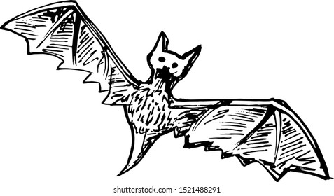 Hand Drawn bat doodle. Sketch style icon. Decoration element. Isolated on white background. Flat design. Vector illustration.