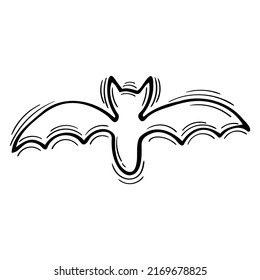 Hand drawn bat. Doodle style silhouette of animal. Sketch design. Halloween. Vector illustration