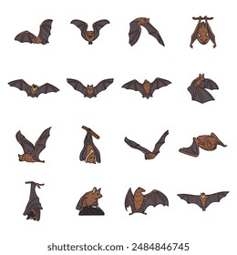 Hand Drawn Bat Illustration Colored Set