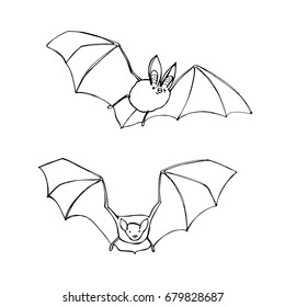 Hand drawn bats. Vector illustration.