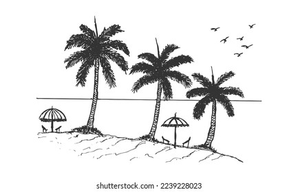 Hand drawn beach vector illustration. Three palms tree drawing with couple of beach umbrellas and chairs with scenic beach view with silhouette of birds flying. Beach landscape pen sketch vector.