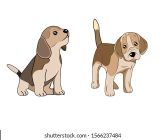 Hand drawn beagle cute dog on white background 