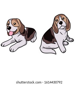 Hand drawn beagle cute dog on white background.