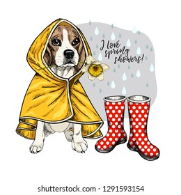 Hand drawn beagle with yellow raincoat and gumboots. Vector spring greeting card. Cute colorful dog with daffodil flower. I love spring rain. Lovely pet portrait. Poster, banner, flyer design.