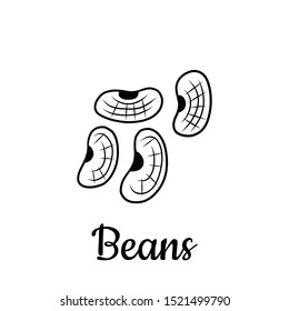 Hand drawn Beans isolated on a white. Vegetables drawings. Vector illustration.