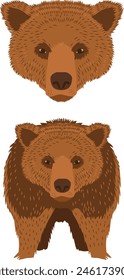 Hand drawn Bear face and Brown bear Body