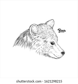 Hand Drawn bear head face logo vector icon. teddy wild fauna silhouette line art. vintage rustic sketch look. For pet lover, cloth graphic, zoo care brand, community, label, club. cute and funny