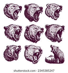 hand drawn bear head. realistic drawing vector illustration