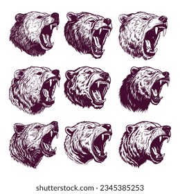 hand drawn bear head. realistic drawing vector illustration