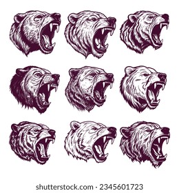 hand drawn bear head. realistic drawing vector illustration