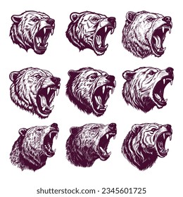 hand drawn bear head. realistic drawing vector illustration
