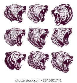 hand drawn bear head. realistic drawing vector illustration