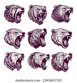 cabeza de oso dibujada a mano. ilustración de vector de dibujo realista