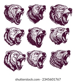 hand drawn bear head. realistic drawing vector illustration