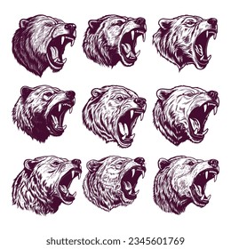 hand drawn bear head. realistic drawing vector illustration