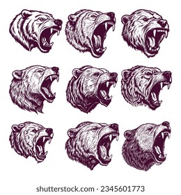 hand drawn bear head. realistic drawing vector illustration