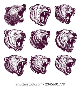 hand drawn bear head. realistic drawing vector illustration