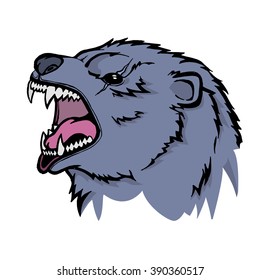 Hand drawn bear head. Hand drawn white isolated. Vector illustration